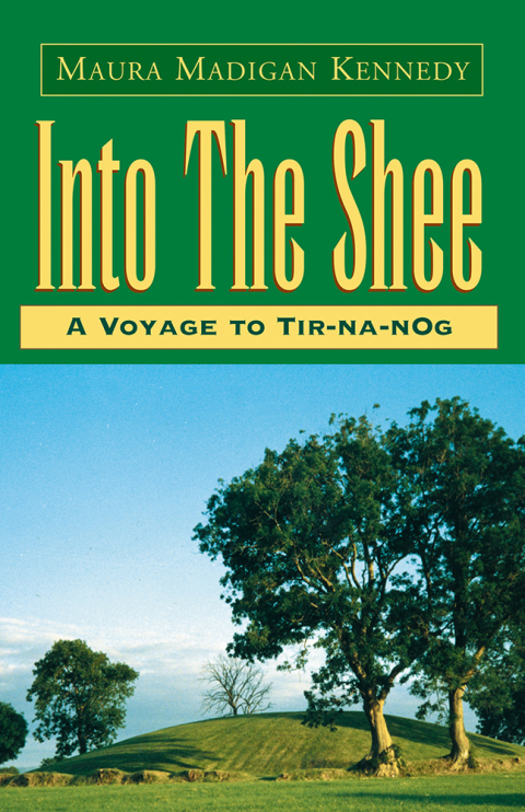 Cover image for book Into the Shee