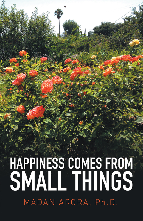 Cover image for book Happiness Comes from Small Things