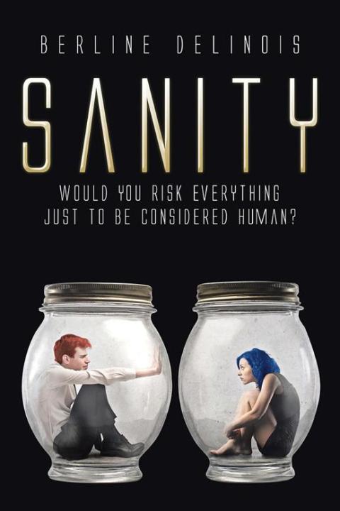 Cover image for book Sanity