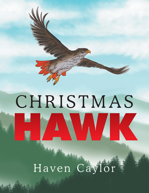 Cover image for book Christmas Hawk