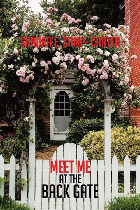 Cover image for book Meet Me at the Back Gate