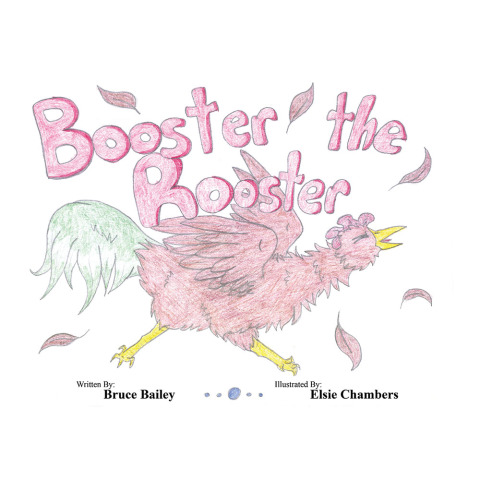 Cover image for book Booster the Rooster