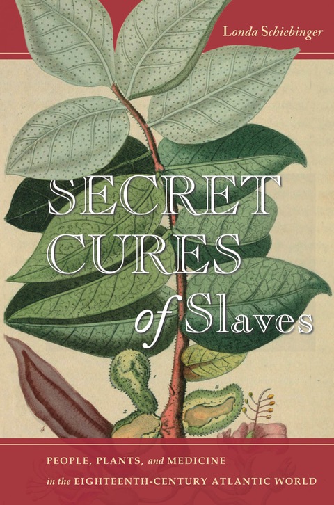 Cover image for book Secret Cures of Slaves