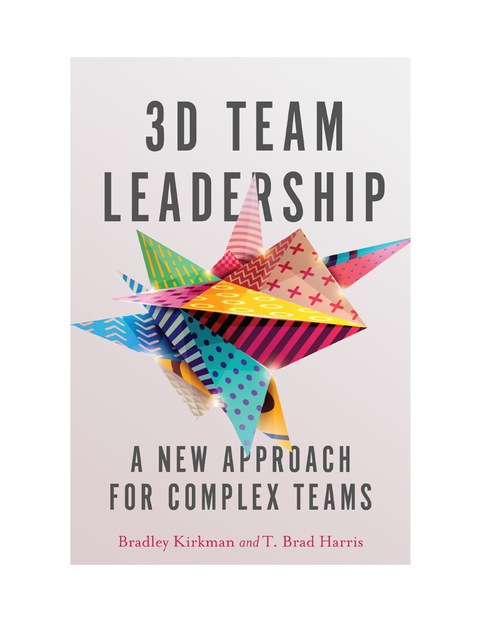 Cover image for book 3D Team Leadership