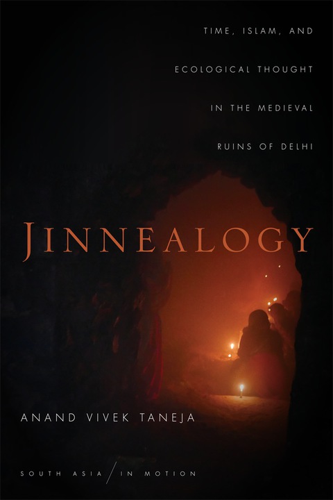 Cover image for book Jinnealogy