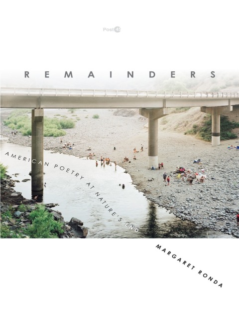 Cover image for book Remainders