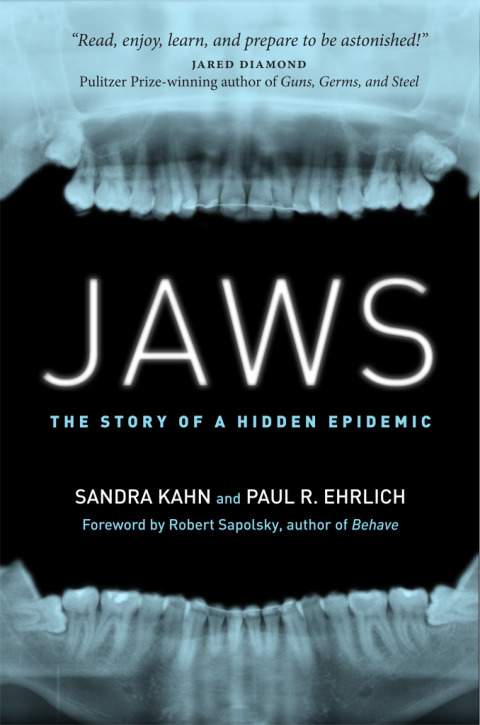 Cover image for book Jaws