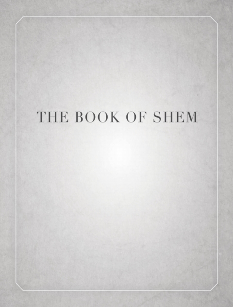 Cover image for book The Book of Shem