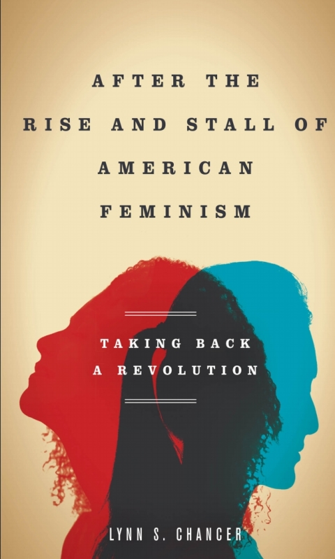 Cover image for book After the Rise and Stall of American Feminism