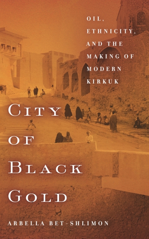 Cover image for book City of Black Gold