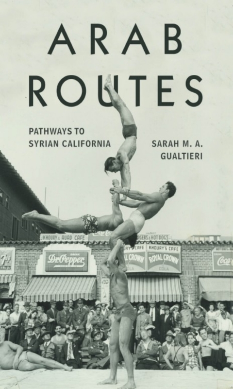 Cover image for book Arab Routes