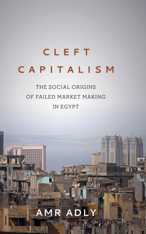 Cover image for book Cleft Capitalism