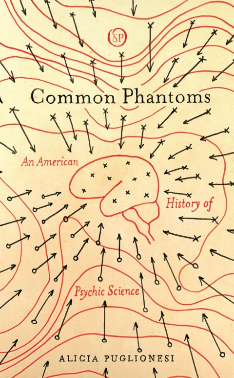 Cover image for book Common Phantoms