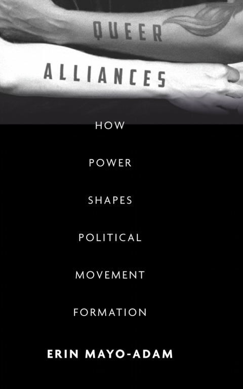 Cover image for book Queer Alliances