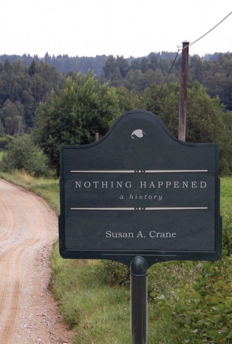 Cover image for book Nothing Happened