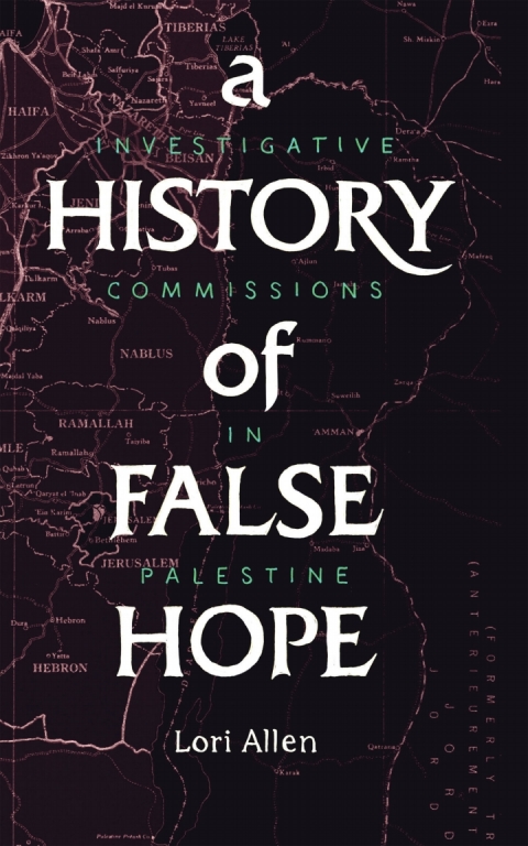 Cover image for book A History of False Hope