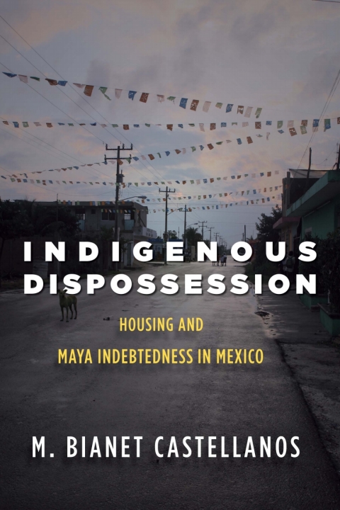 Cover image for book Indigenous Dispossession
