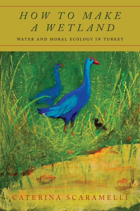 Cover image for book How to Make a Wetland