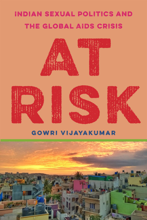 Cover image for book At Risk