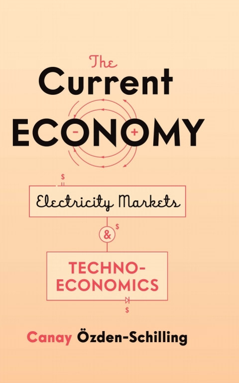 Cover image for book The Current Economy