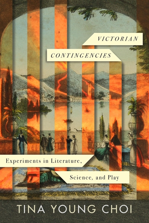 Cover image for book Victorian Contingencies