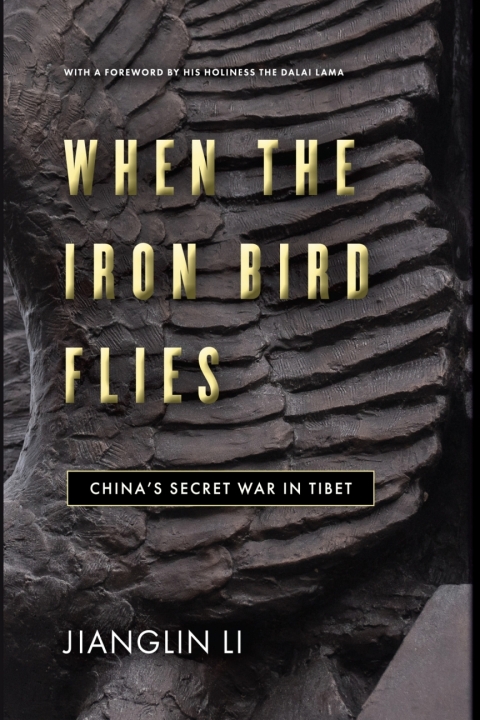 Cover image for book When the Iron Bird Flies
