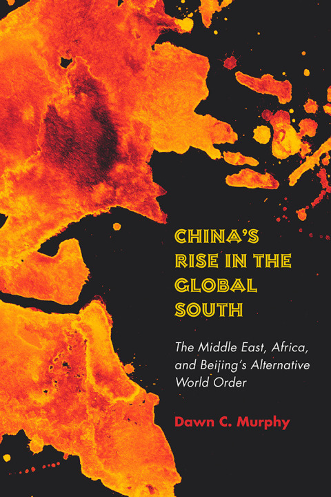 Cover image for book China's Rise in the Global South