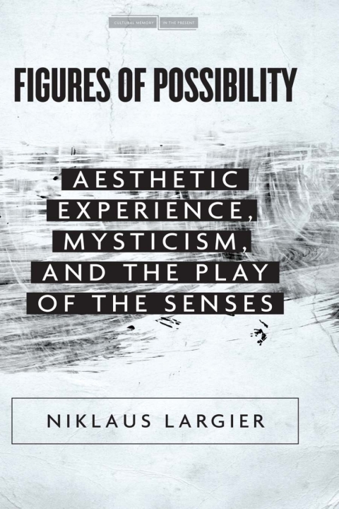 Cover image for book Figures of Possibility