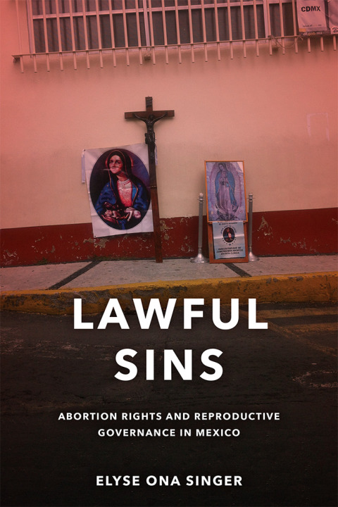Cover image for book Lawful Sins