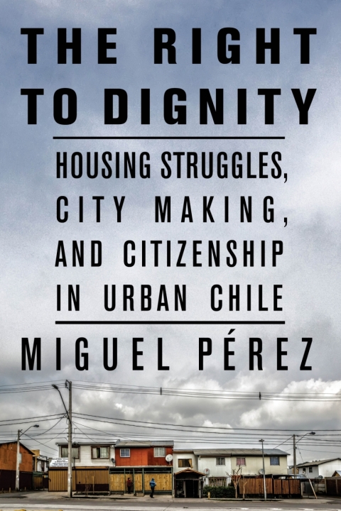 Cover image for book The Right to Dignity