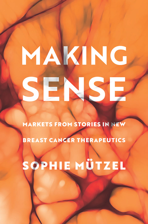 Cover image for book Making Sense