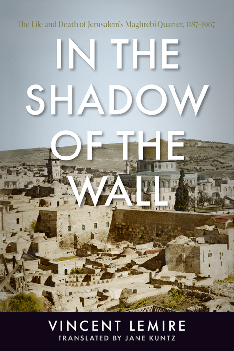 Cover image for book In the Shadow of the Wall