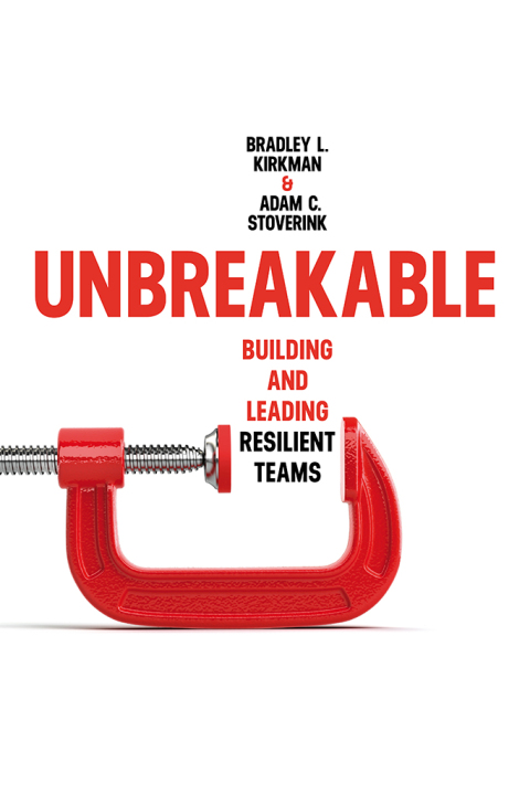 Cover image for book Unbreakable