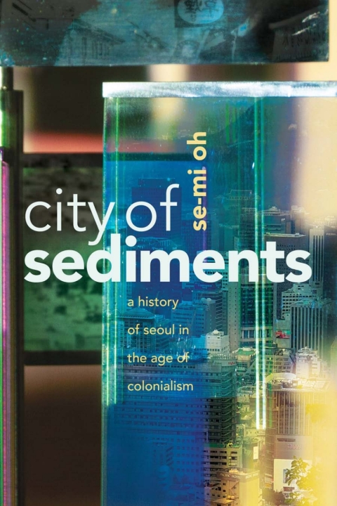 Cover image for book City of Sediments