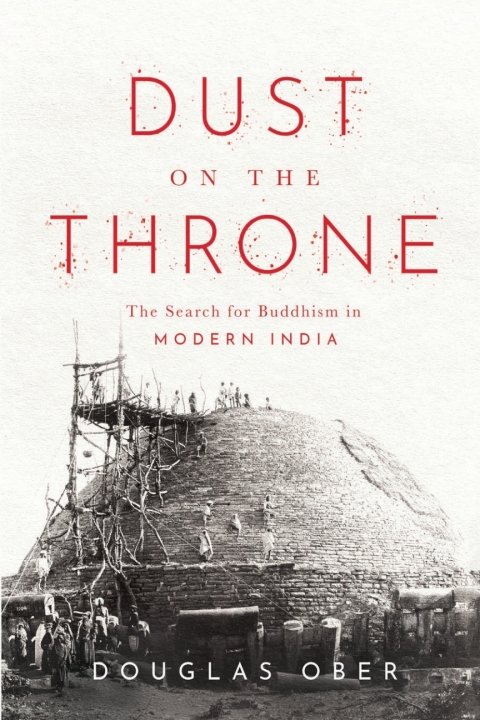 Cover image for book Dust on the Throne