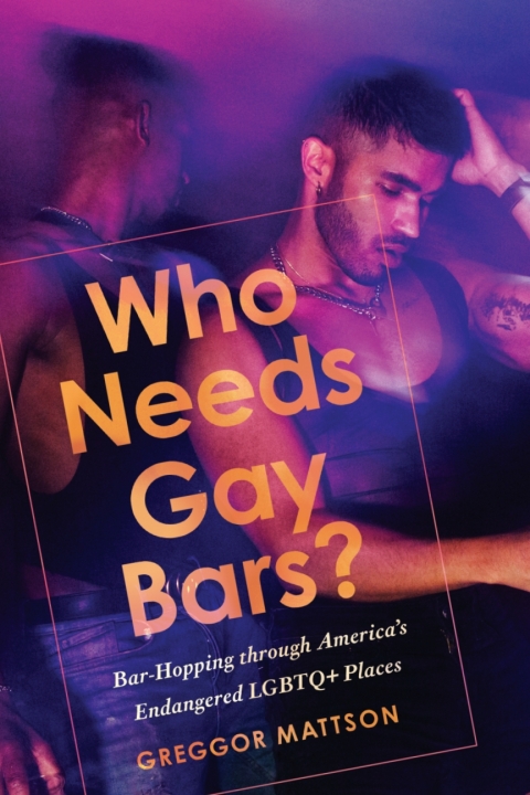 Cover image for book Who Needs Gay Bars?