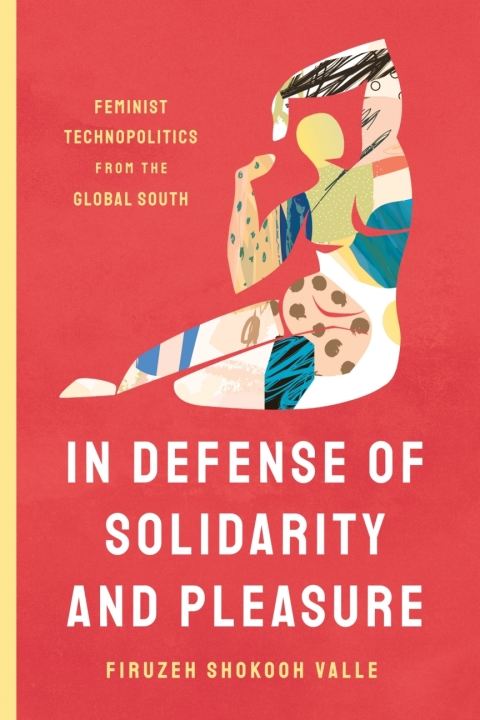 Cover image for book In Defense of Solidarity and Pleasure
