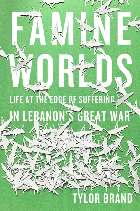 Cover image for book Famine Worlds