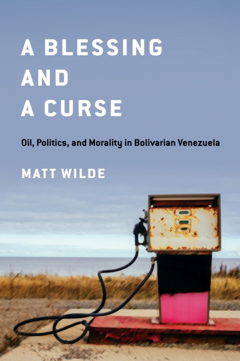 Cover image for book A Blessing and a Curse