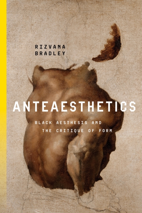 Cover image for book Anteaesthetics