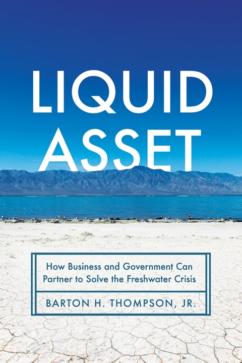 Cover image for book Liquid Asset