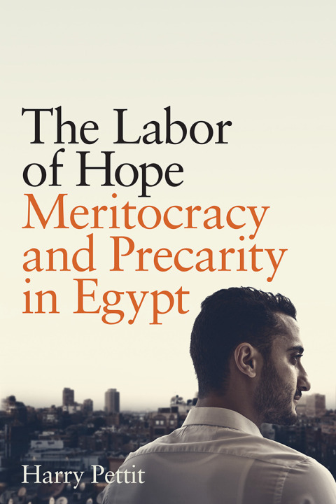 Cover image for book The Labor of Hope