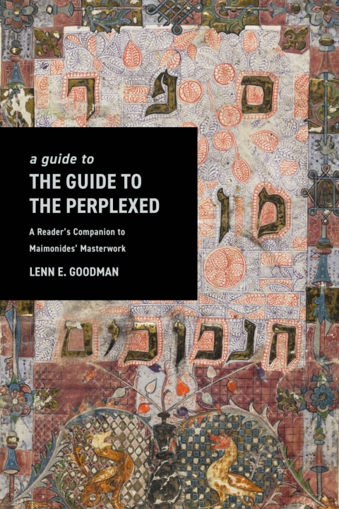 Cover image for book A Guide to The&nbsp;Guide to the Perplexed