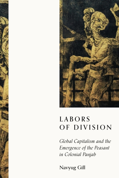 Cover image for book Labors of Division