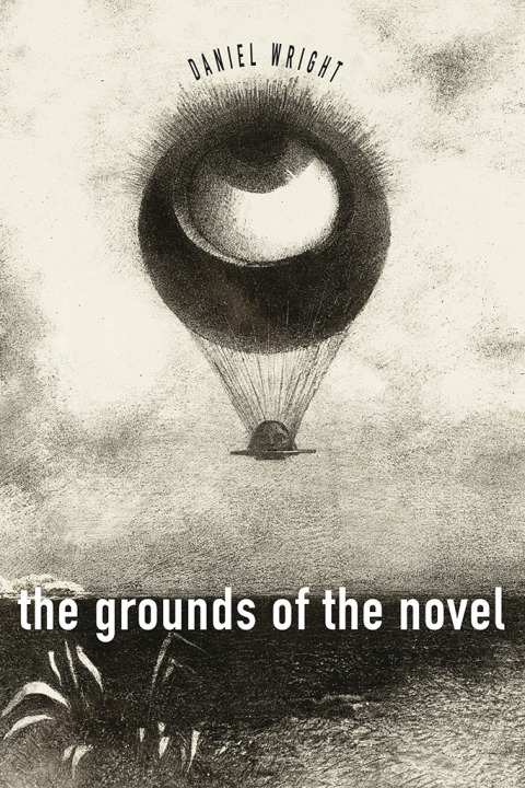 Cover image for book The Grounds of the Novel