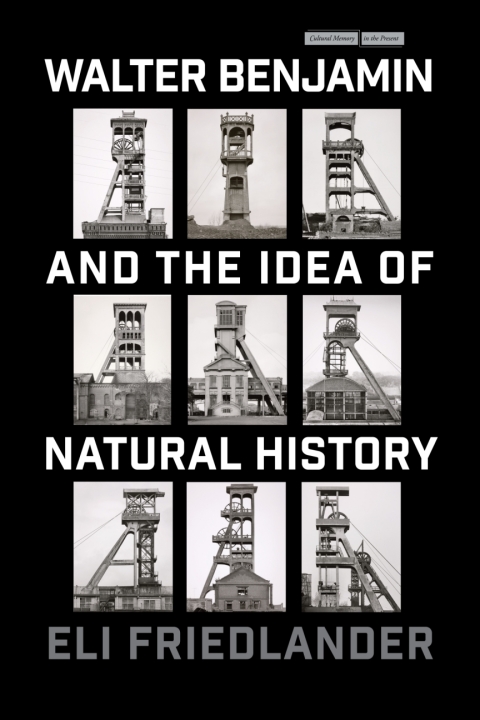 Cover image for book Walter Benjamin and the Idea of Natural History