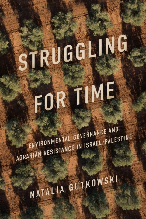 Cover image for book Struggling for Time