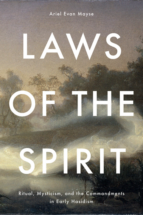 Cover image for book Laws of the Spirit
