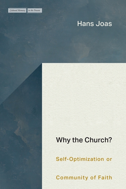 Cover image for book Why the Church?