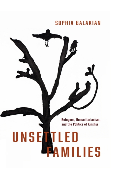 Cover image for book Unsettled Families